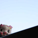 梅山豚(メイシャントン)は茨城の幻の豚!『発見!なるほどレストラン』4/21の餃子