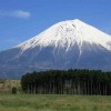 ふじフォン@シフォン富士 沸騰ワード10に！通販・お取り寄せ 富士山型巨大シフォンケーキ